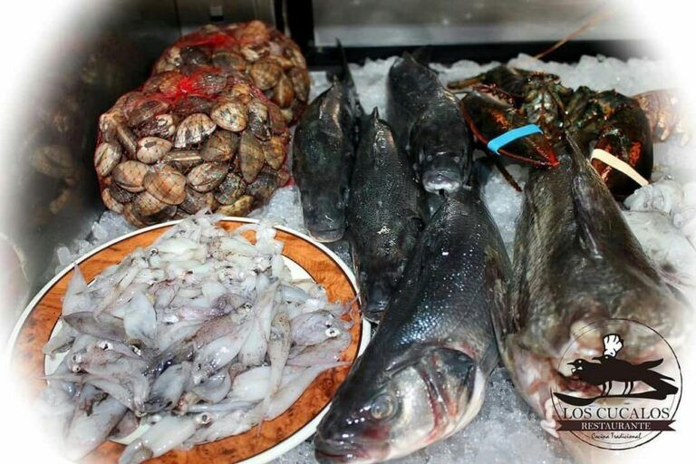 Pescados del Mediterráneo: Guía para Reconocer la Calidad